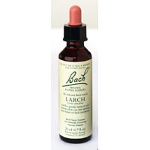Bach Larch Flower Essence, 20 ml