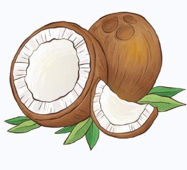 Inecto Naturals Coconut Conditioner, 500 ml