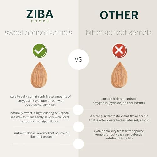 Ziba Sweet Apricot Kernels, Dry Roasted and Salted, 150 g