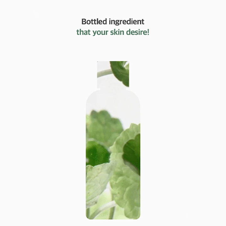 mixsoon Centella Asiatica Toner, 5.07 fl oz
