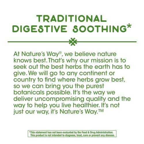 Nature's Way Peppermint Leaf, 100 Count