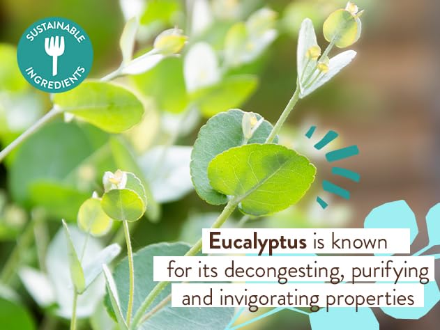 Babo Botanicals Eucalyptus Remedy 2-in-1 Bubble Bath And Wash, Eucalyptus Rosemary Peppermint