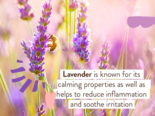 Babo Botanicals Calming Lavender Body Lotion