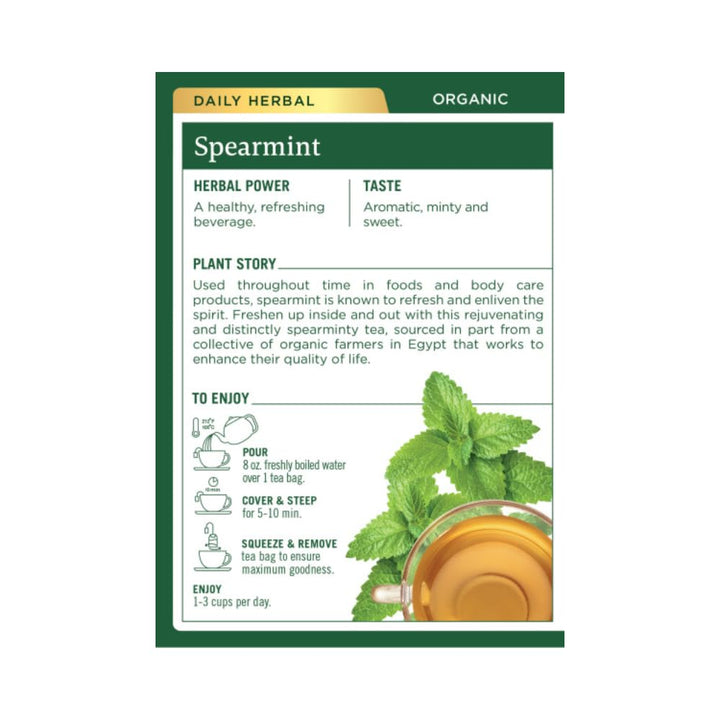 Traditional Medicinals Organic Spearmint Tea, 16 Count, Pack of 6