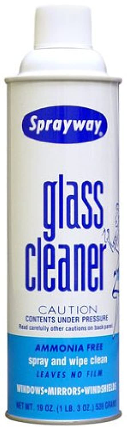 Sprayway Glass Cleaner, 1 Count