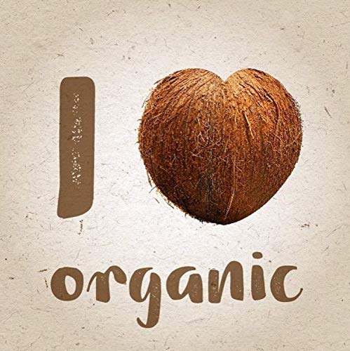 Inecto Naturals Coconut Conditioner, 500 ml
