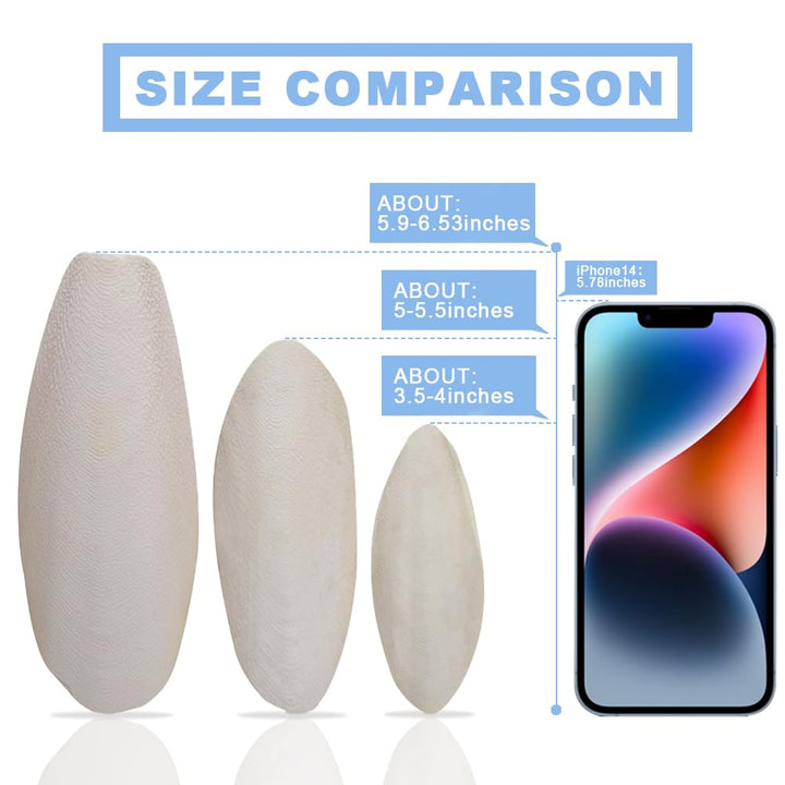 Jmxu's Bird Cuttlebone for Parakeets, 5 in-5.5 in, 6 Count