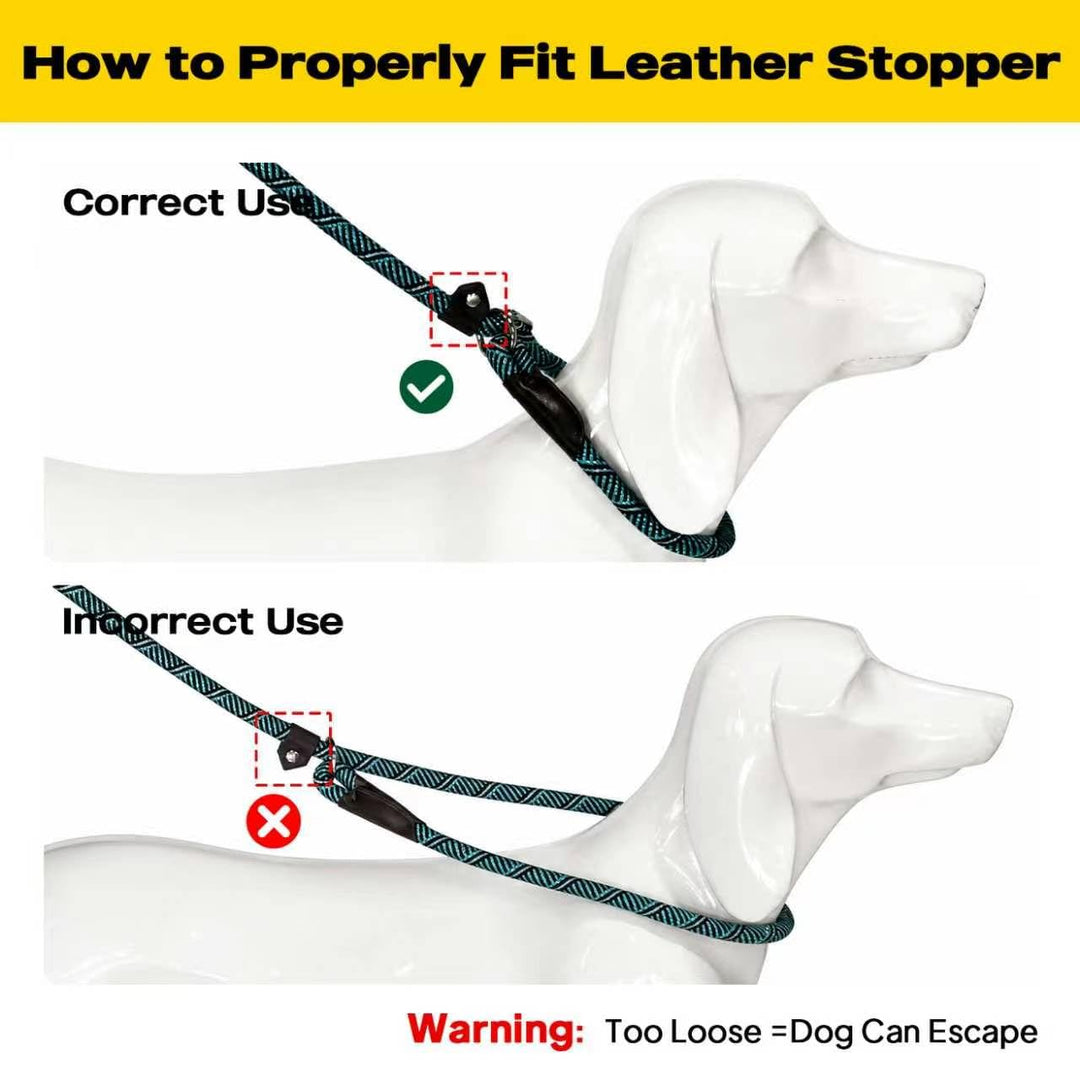 Fida Slip Lead Dog Leash, Blue, 6 ft x 3/8 in