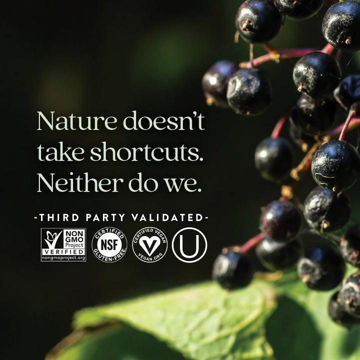 New Chapter Elderberry Capsules, 30 Count