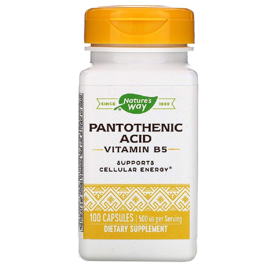 Nature's Way Pantothenic Acid, 250 mg, 100 Count