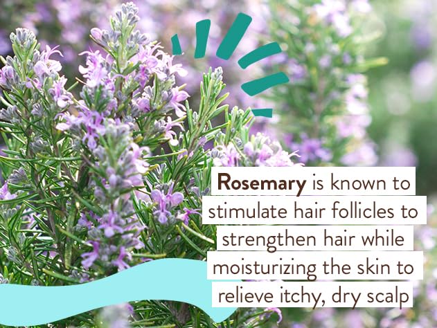 Babo Botanicals Eucalyptus Remedy 2-in-1 Bubble Bath And Wash, Eucalyptus Rosemary Peppermint