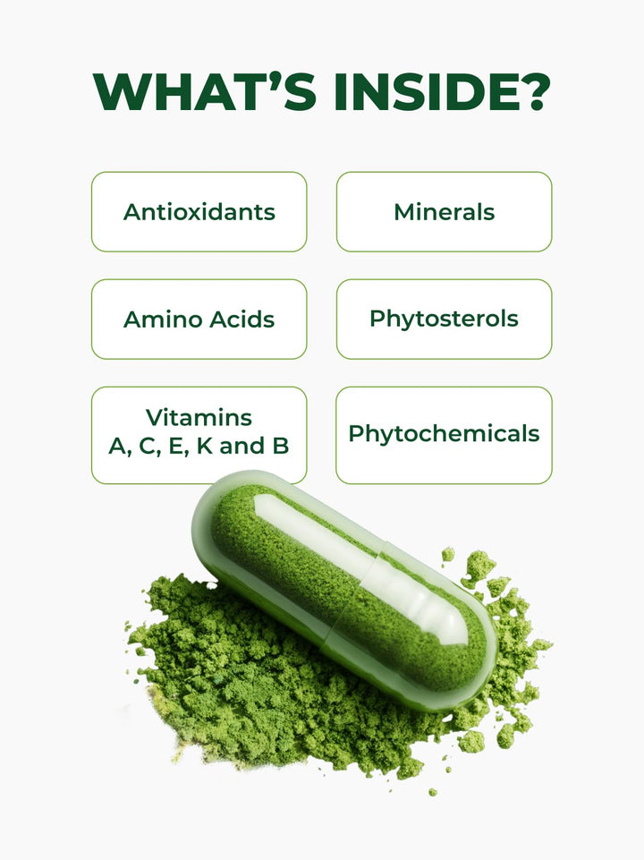 PURA VIDA MORINGA Moringa Capsules, 500 mg, 120 Count