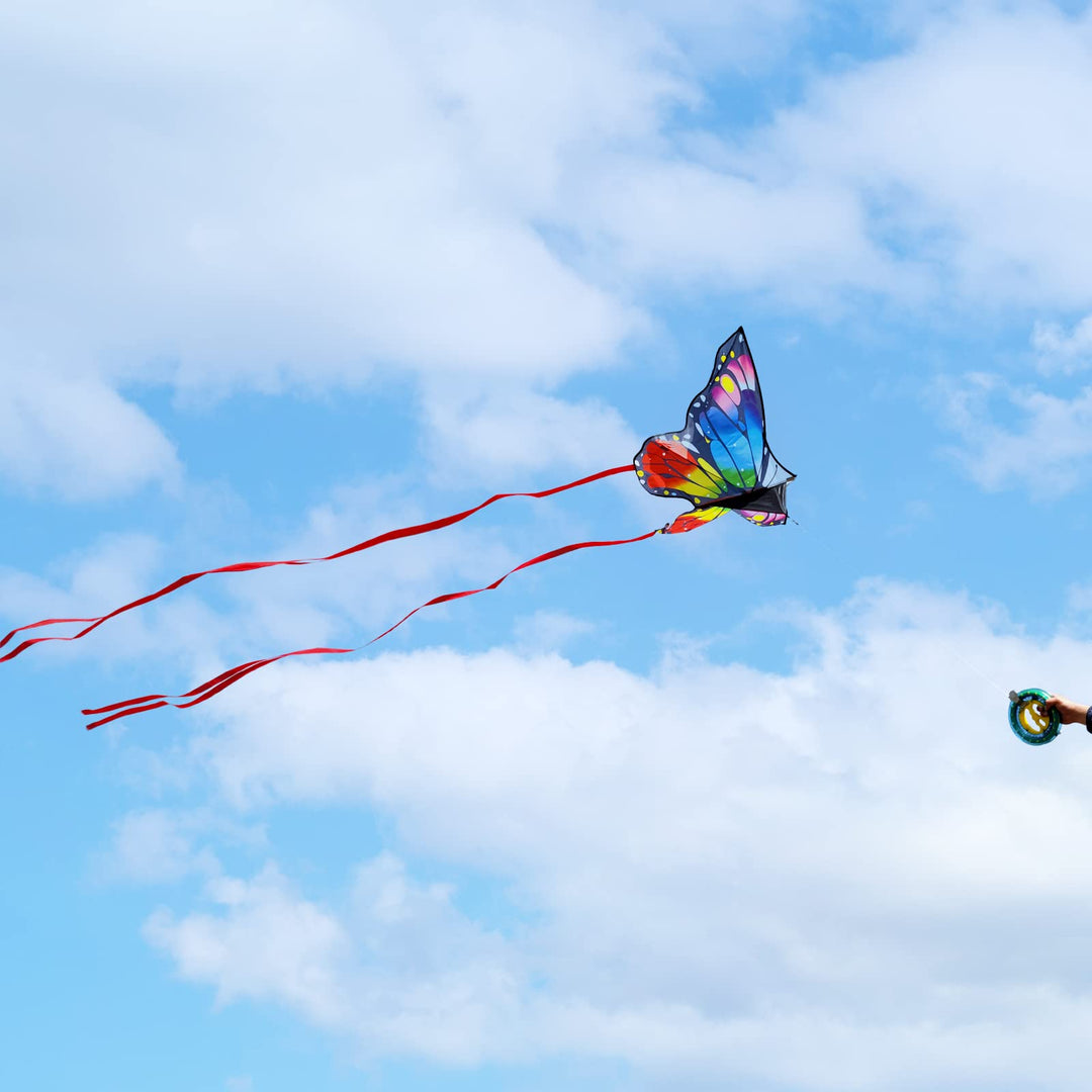 Kaiciuss Butterfly Kite, Large, Single Line