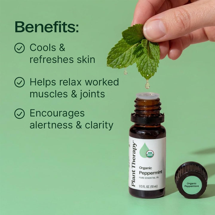 Plant Therapy Organic Peppermint Essential Oil, 10 ml