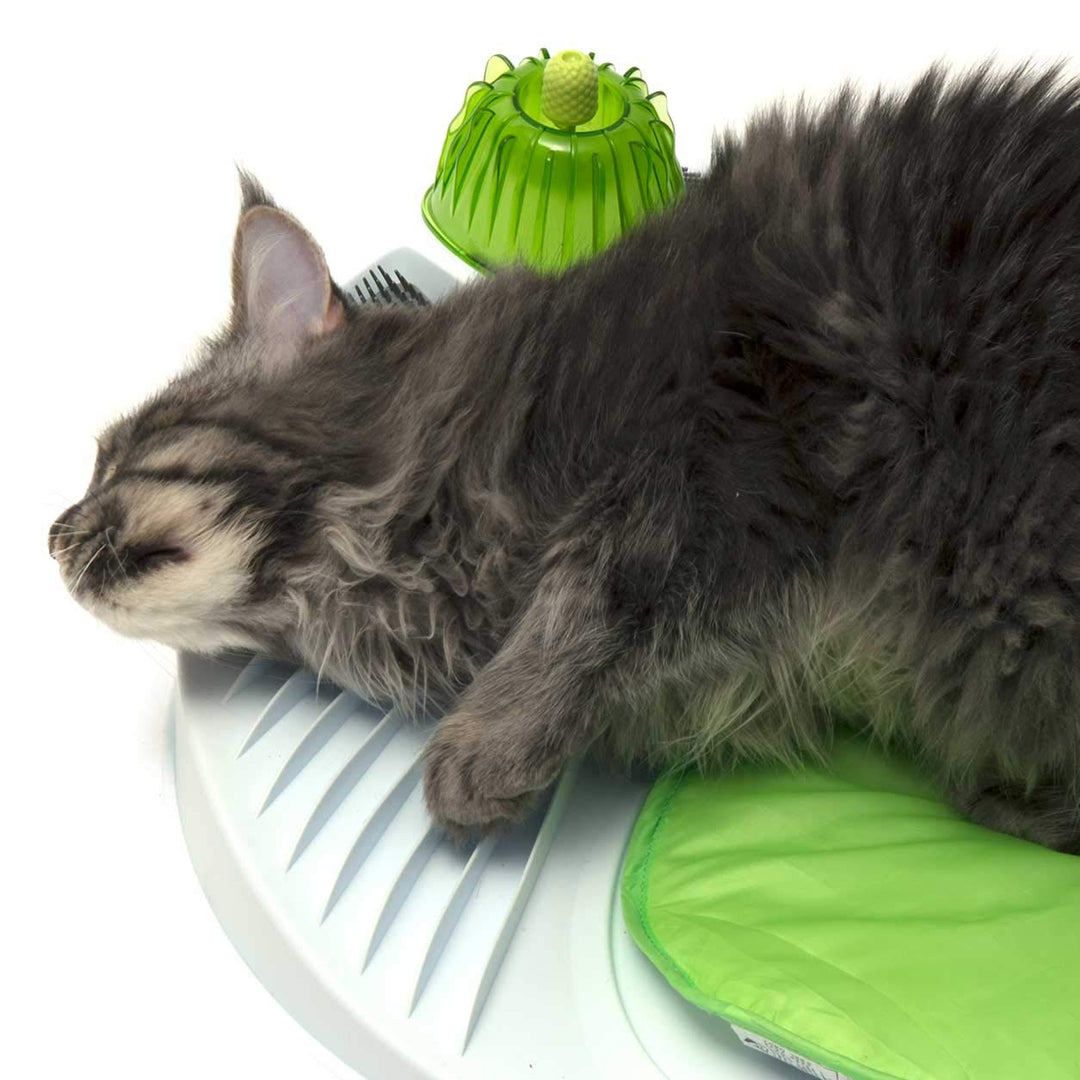 Catit Catnip Spray, 60 ml