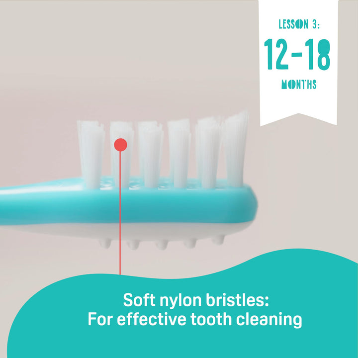 Pigeon Training Toothbrush, Blue