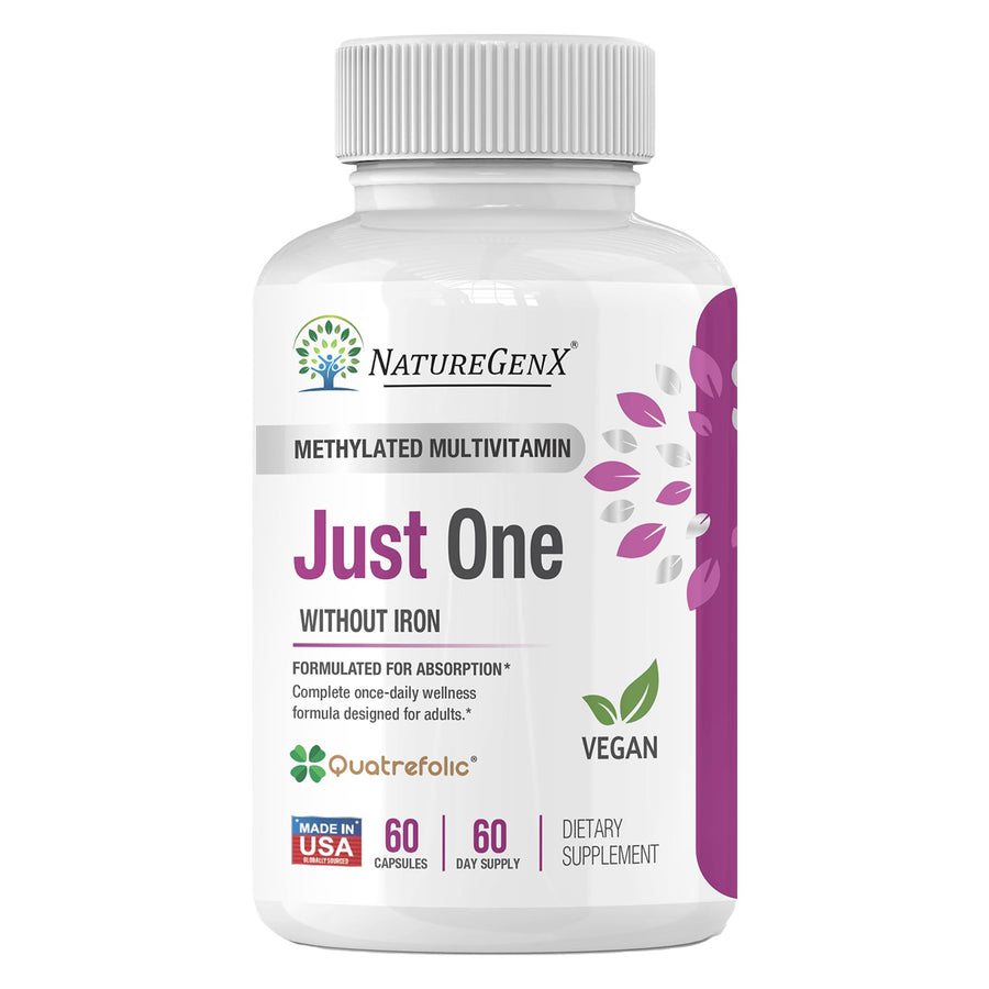 NatureGenX Just One Daily Methyl Multi MTFHR Supplement, 60 Count