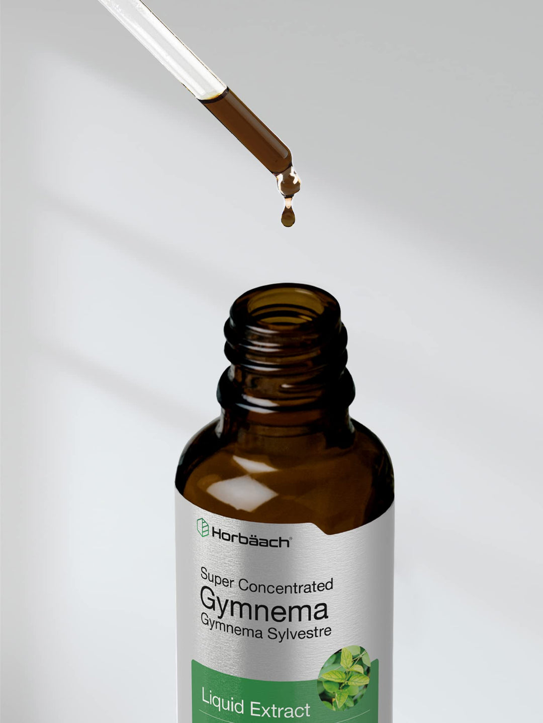 Horbäach Gymnema Sylvestre Liquid Extract, Alcohol Free, 2 fl oz