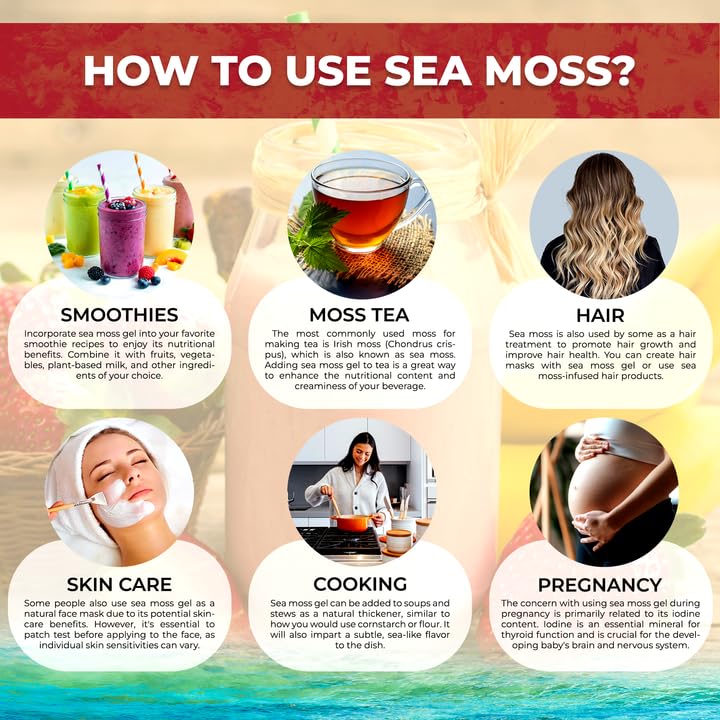 WELLNESS LABSRX Sea Moss Gel, Strawberry Banana, 10 oz