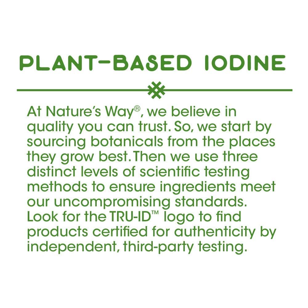 Nature's Way Bladderwrack Whole Thallus, 580 mg, 100 Count, Pack of 2