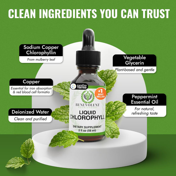 Benevolent Nourishment Chlorophyll Liquid Drops, Peppermint