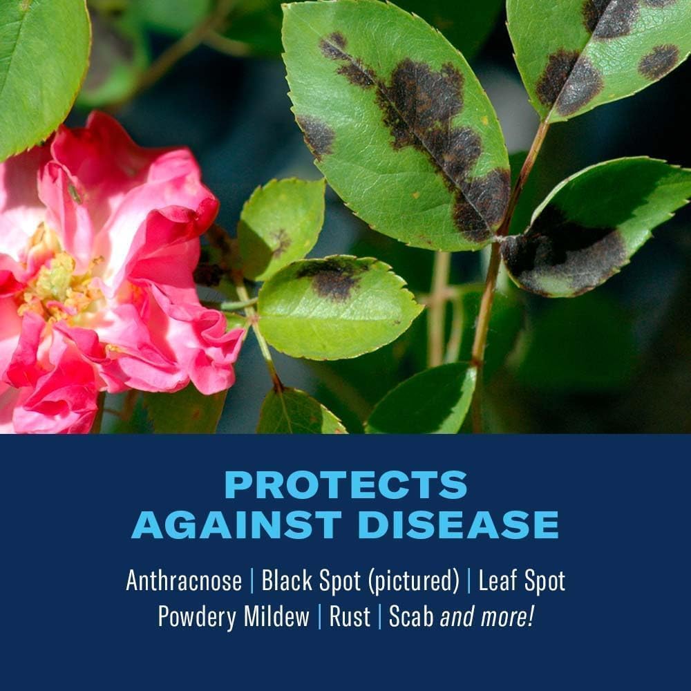 BioAdvanced 3-In-1 Insect Disease and Mite Control, Ready-to-Use, 24 oz