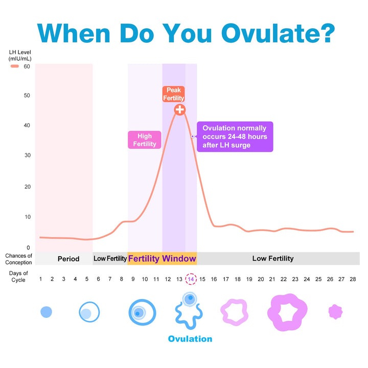 Easy@Home Ovulation Test Strips, 25 Count