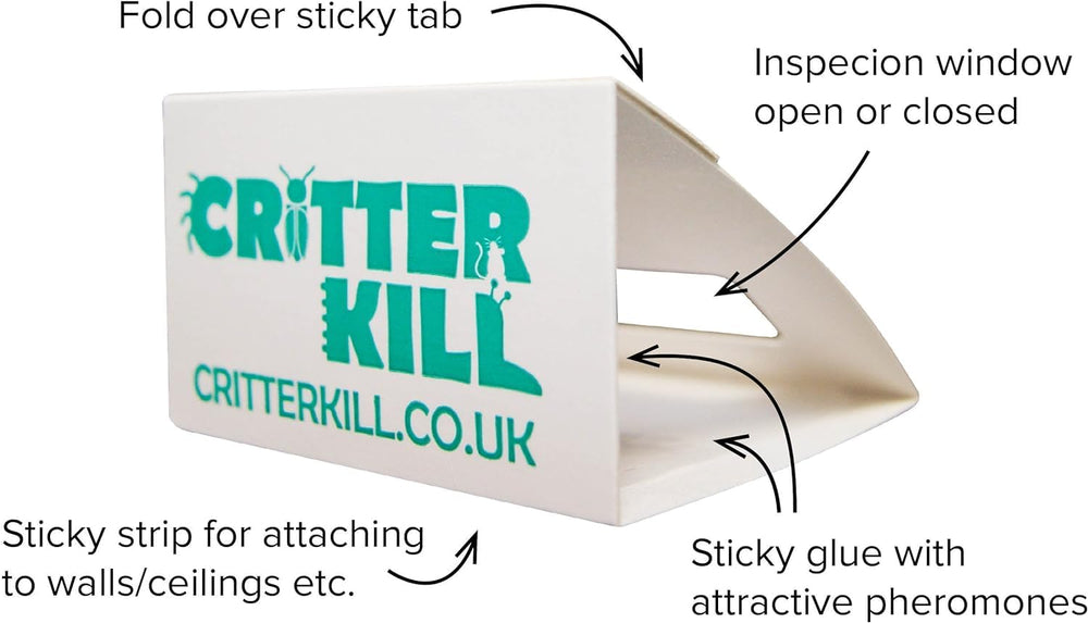 CritterKill Spider Trap, 30 Count
