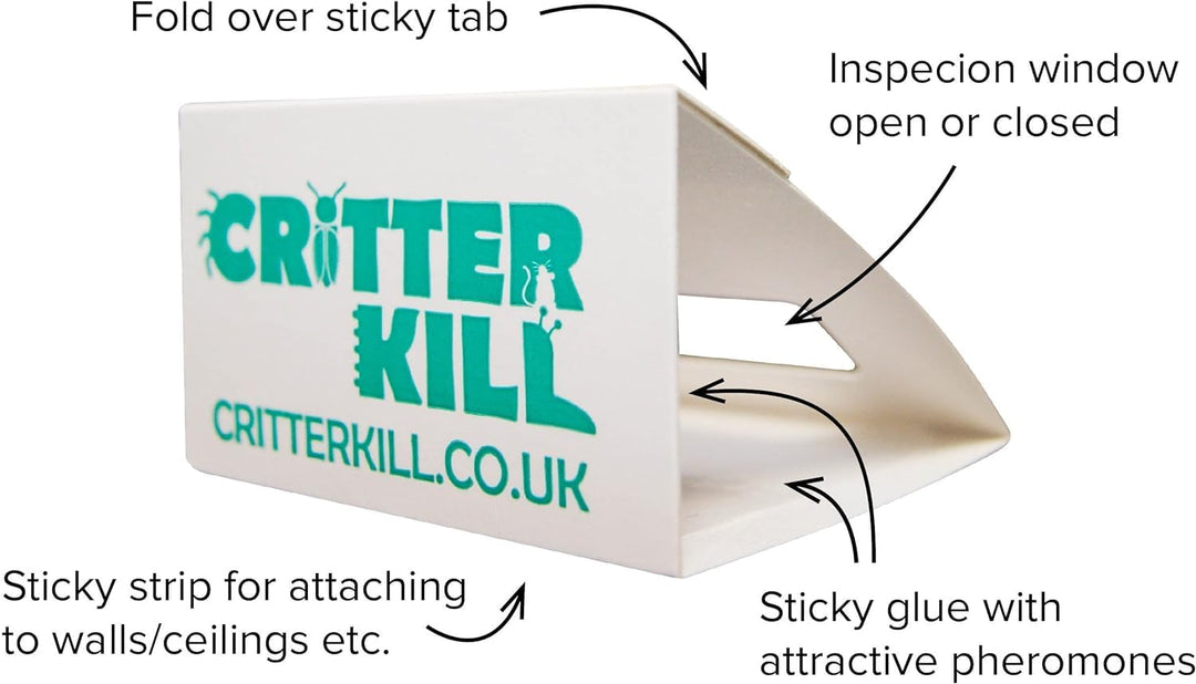CritterKill Spider Trap, 30 Count