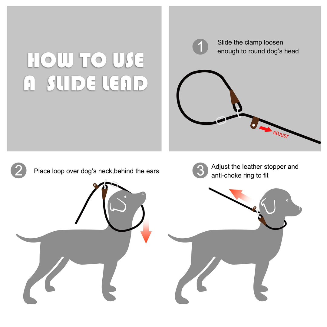 Fida Slip Lead Dog Leash, Blue, 6 ft x 3/8 in