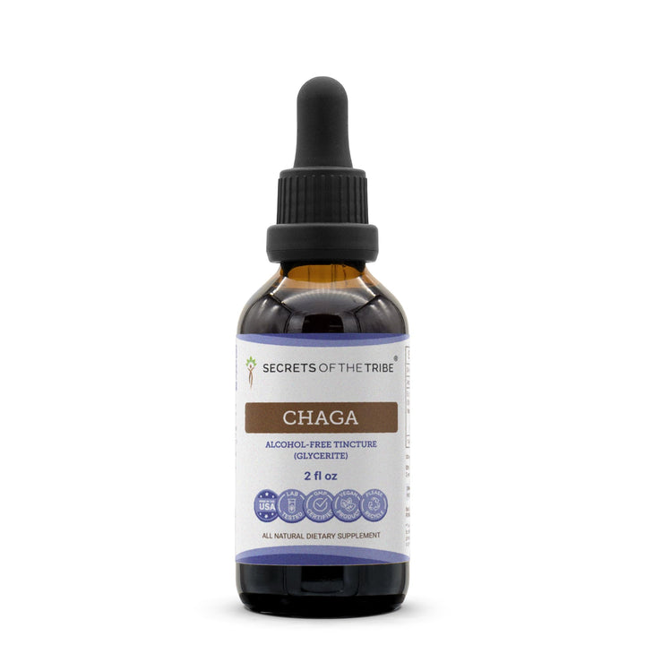 Secrets of the Tribe Chaga Alcohol-Free Extract, Organic, 2 fl oz