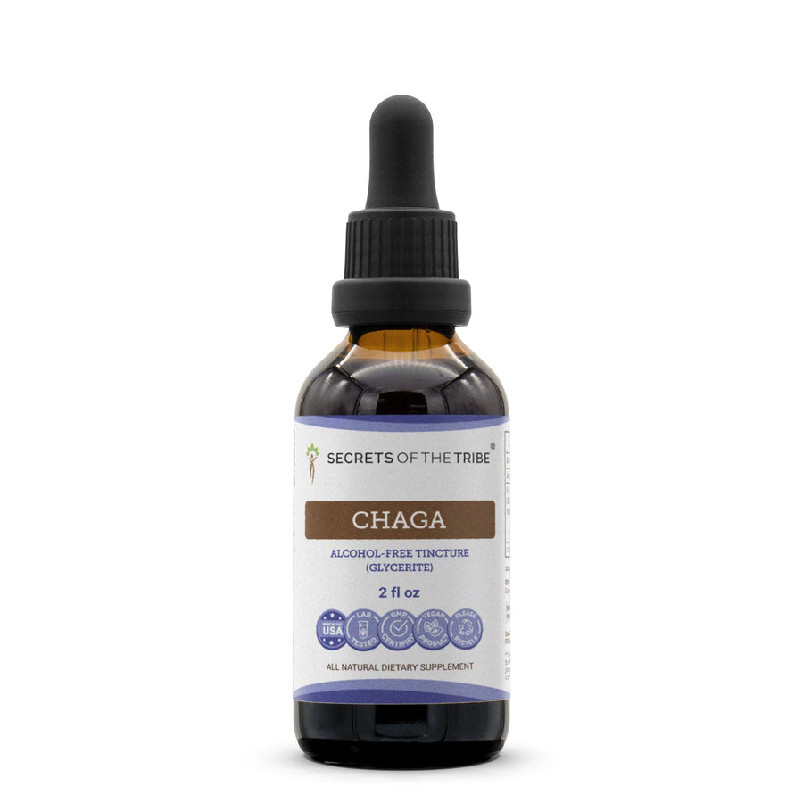 Secrets of the Tribe Chaga Alcohol-Free Extract, Organic, 2 fl oz