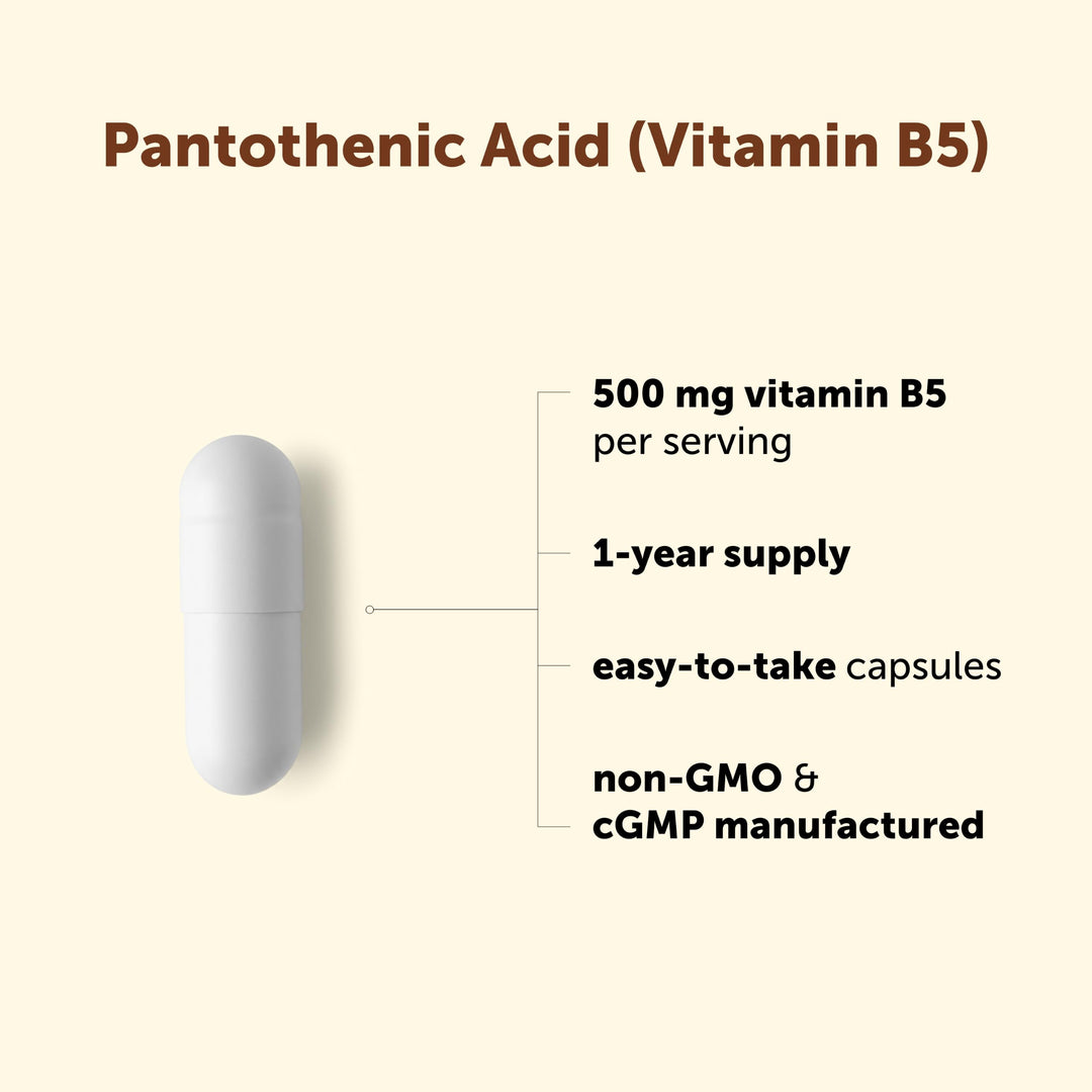 Micro Ingredients Pantothenic Acid Vitamin B5, 500 mg, 365 Count