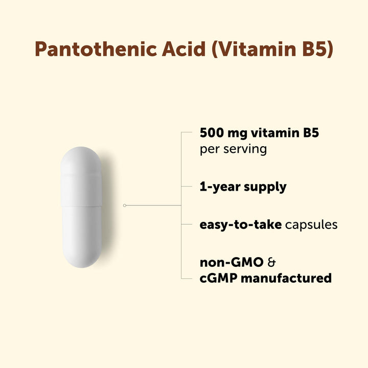Micro Ingredients Pantothenic Acid Vitamin B5, 500 mg, 365 Count