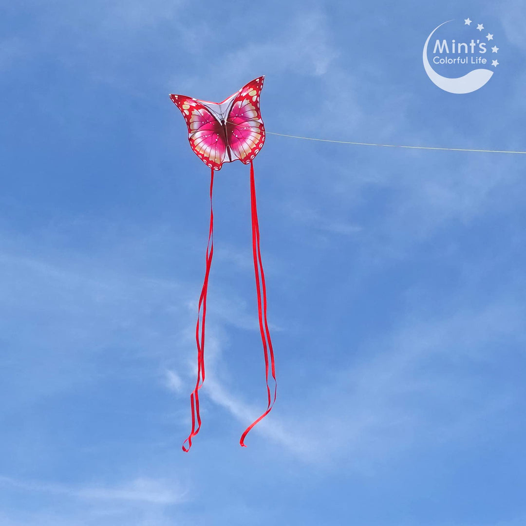 Mint's Colorful Life Butterfly Kite