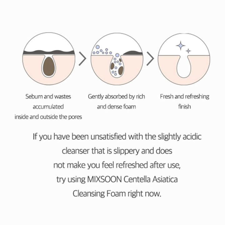 mixsoon Centella Cleansing Foam, 150 ml