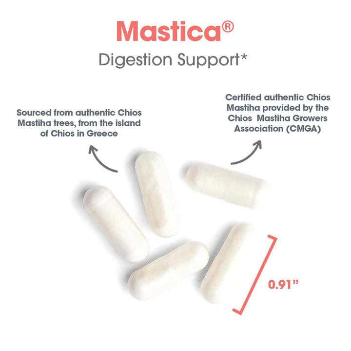 Allergy Research Group Mastica Chios Gum Mastic, 240 Count