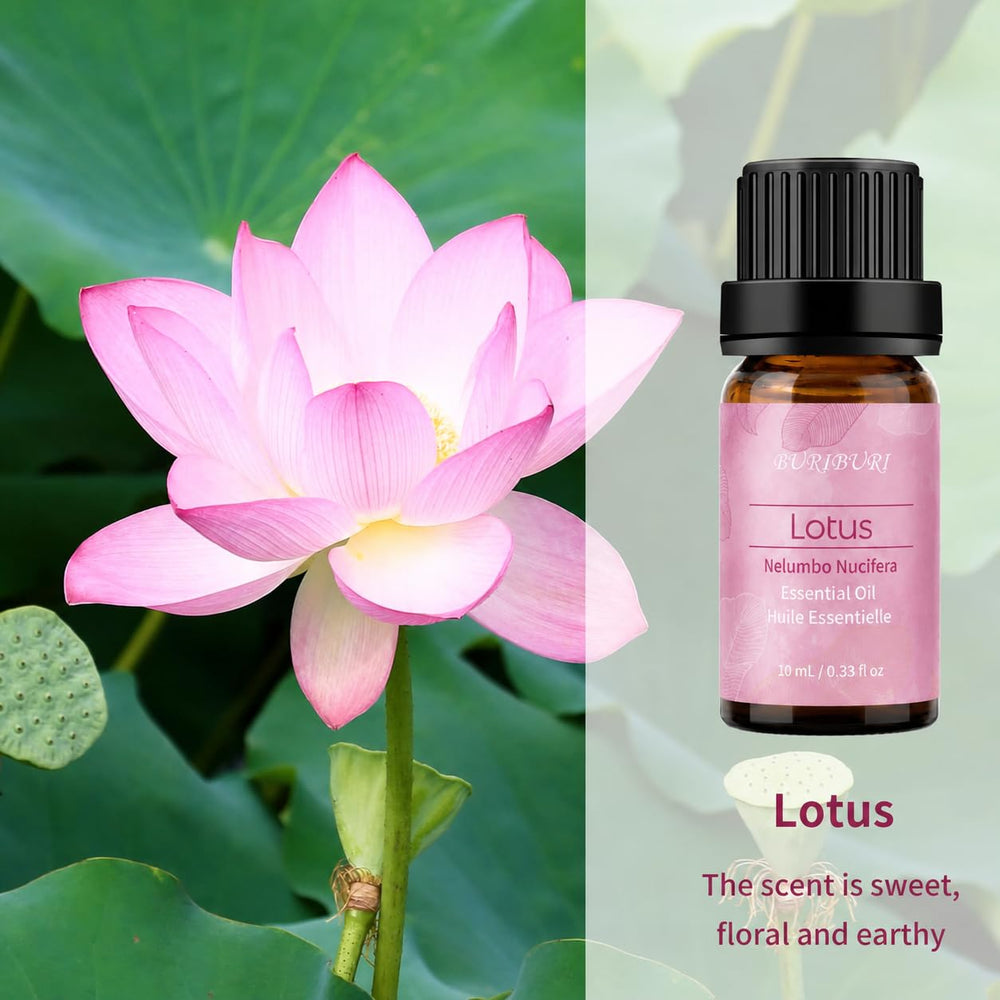 BURIBURI Lotus Essential Oil, 10 ml