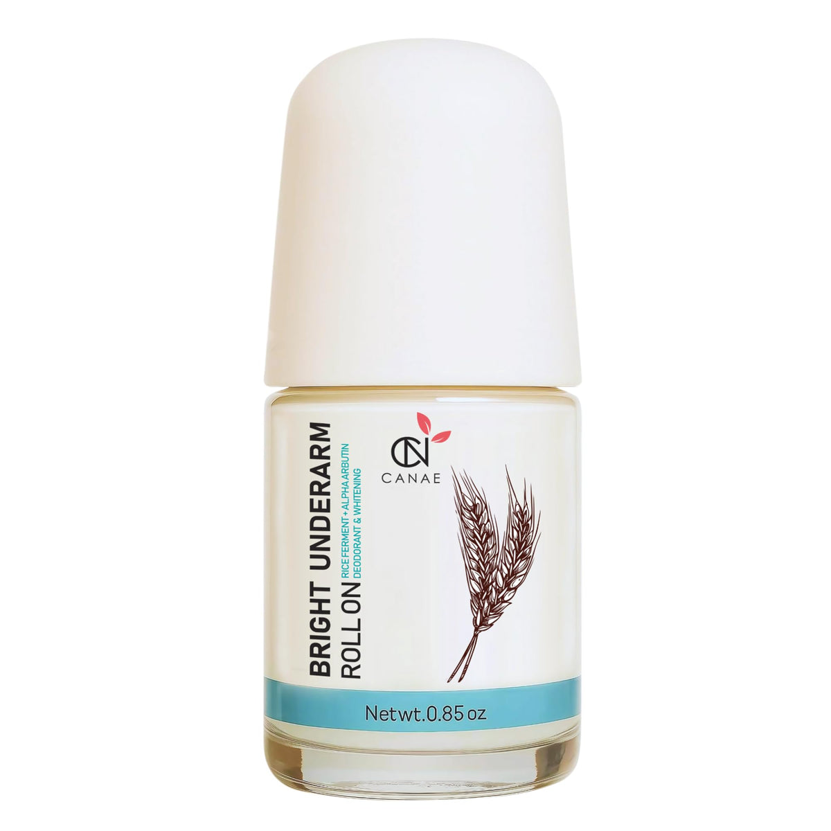 Beauty & Personal Care
