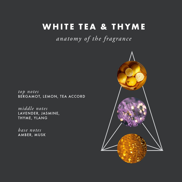ScentAir Home Fragrance Cartridge, White Tea & Thyme