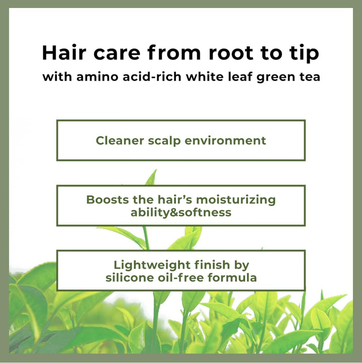 AMOS PROFESSIONAL The Green Tea Moisturizing Hair Mask, 8.45 fl oz