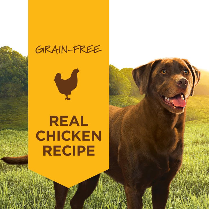 INSTINCT Original Real Chicken Recipe Wet Dog Food, 6 Count