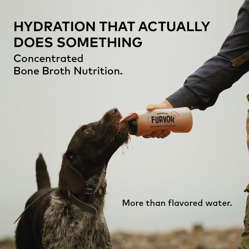 Furvor Beef Bone Broth for Dogs, 12 oz