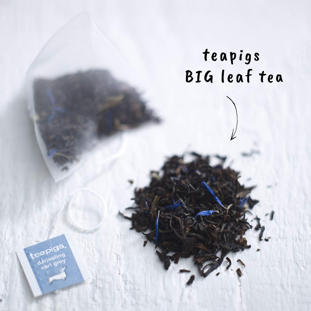 teapigs Darjeeling Earl Grey Tea Bags, 50 Count