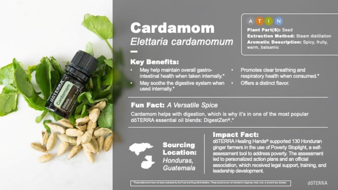 doTERRA Cardamom Essential Oil, 5 ml