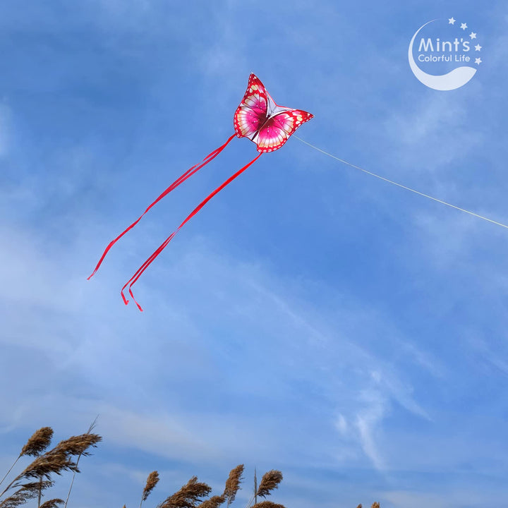 Mint's Colorful Life Butterfly Kite