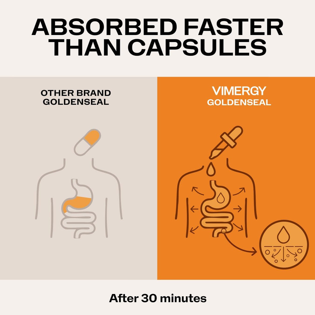 Vimergy Goldenseal Extract, Alcohol-Free, 2 Mo Supply
