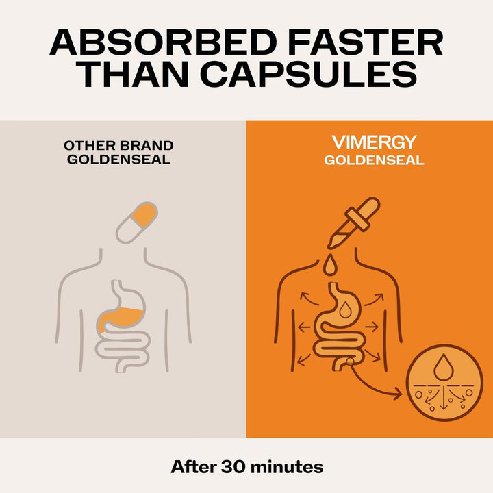 Vimergy Goldenseal Extract, Alcohol-Free, 2 Mo Supply