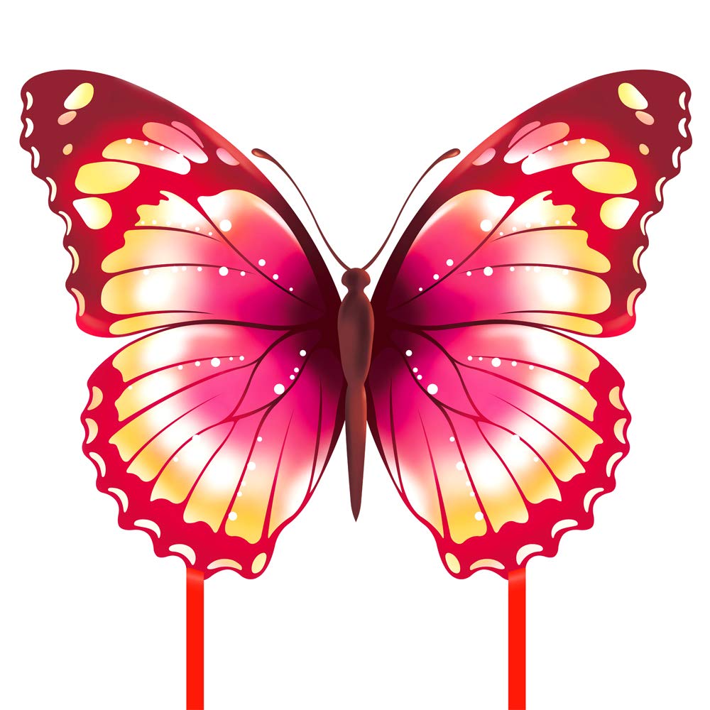 Mint's Colorful Life Butterfly Kite