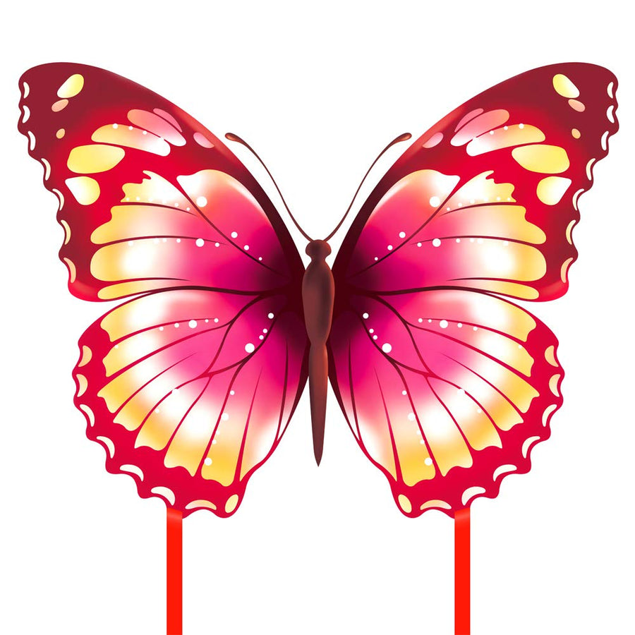 Mint's Colorful Life Butterfly Kite